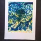 Original lithograph by Gérard Diaz (1938-2021), "the vine, the grape, the wine", 1999.