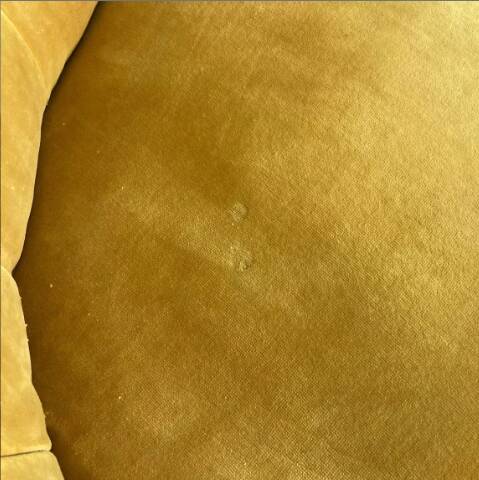 Golden yellow toadstool sofa