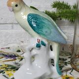 Exotic birds