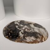 Very large empty pocket or dish in medium light petrified wood 1143