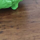 Cabbage salad bowl