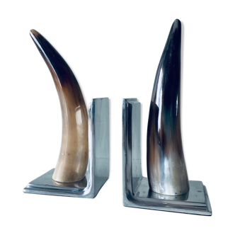 Pair of greenhouse horn book