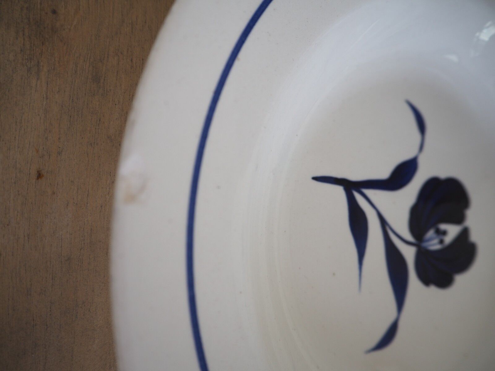 5 blue Agnes B plates