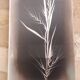 Stainless steel top, hand-engraved décor, to hang
