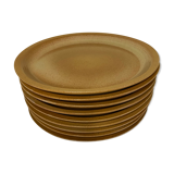 Sandstone plates