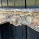 Regency style fireplace in Rance marble, 19th century