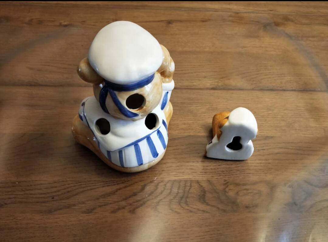 Toothbrush holder/coat hook assembly