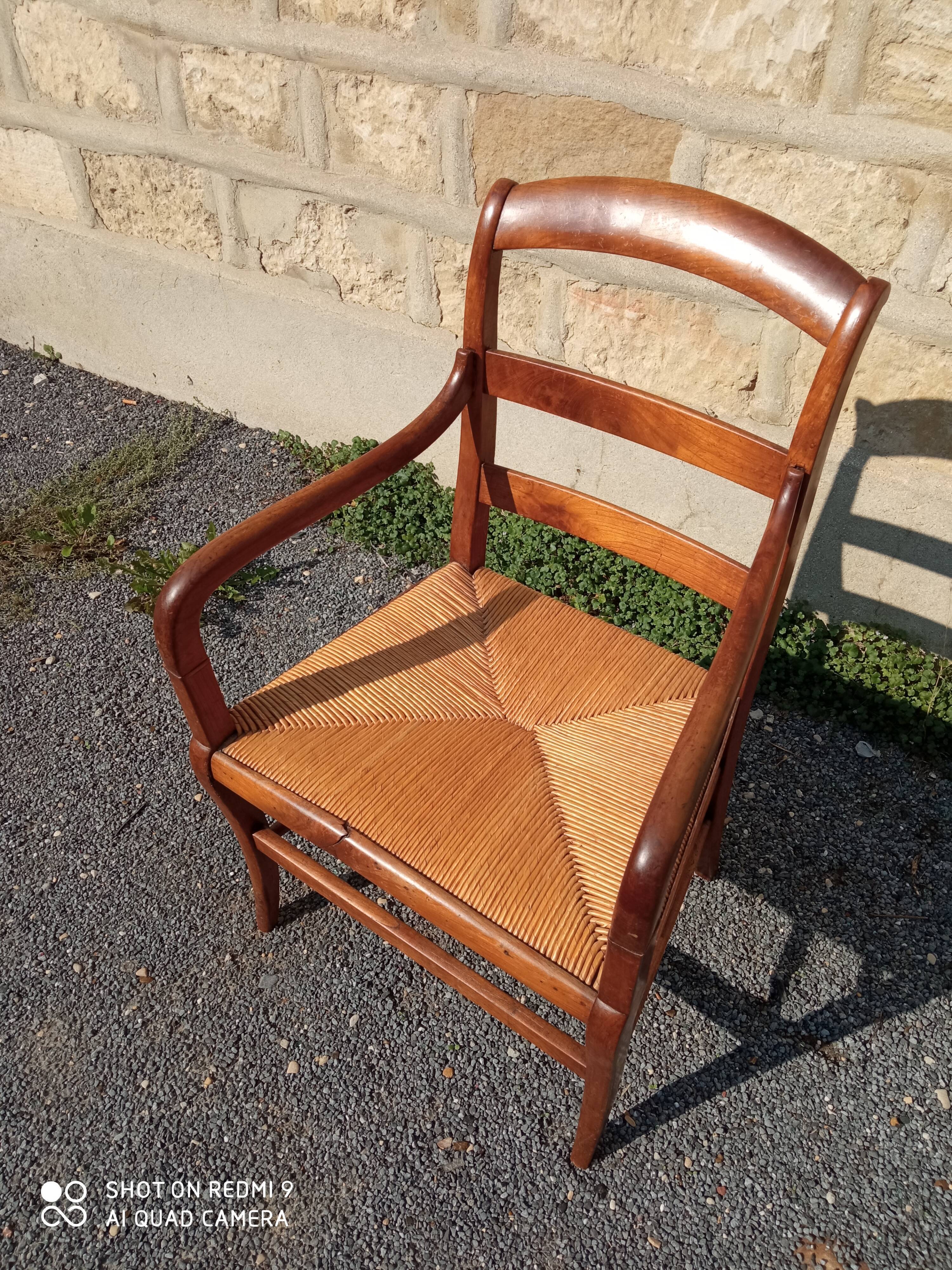 Walnut armchair