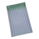 Asparagus dish Revol France