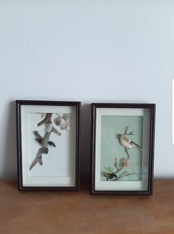 Lot de 2 tableaux