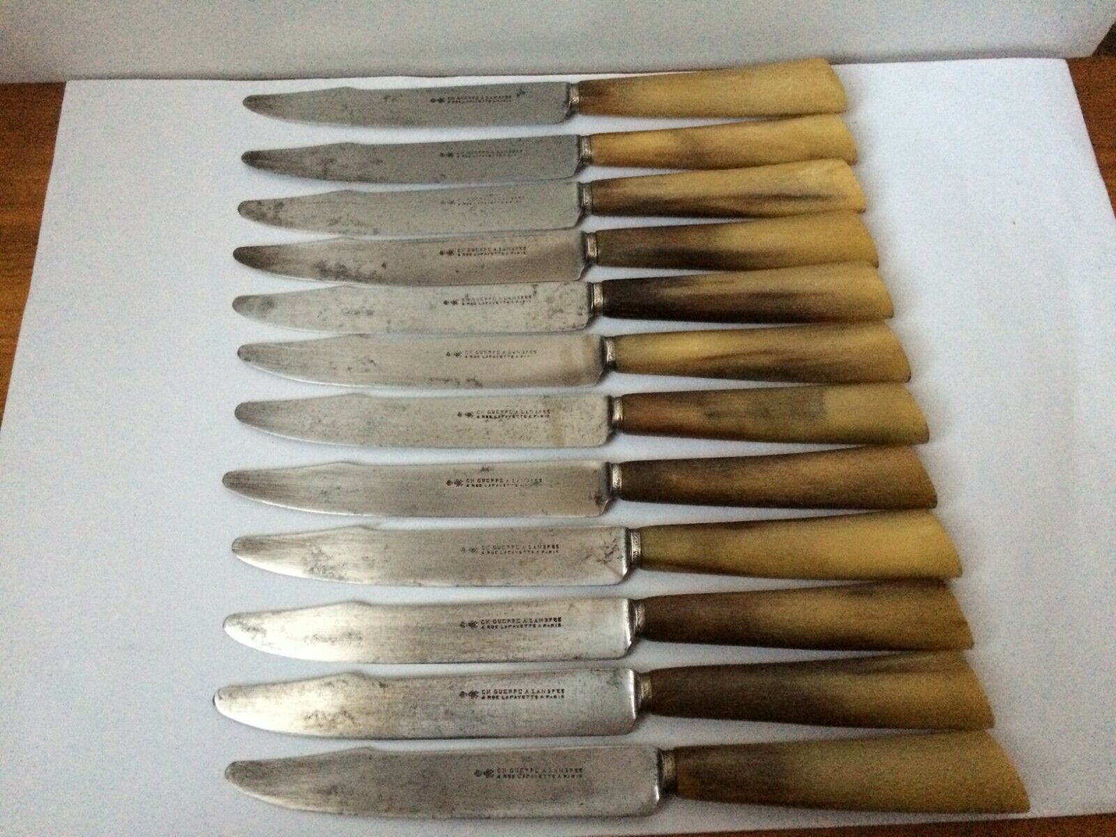 Set of 12 large knives and 11 horn and steel dessert knives