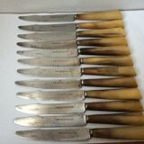 Set of 12 large knives and 11 horn and steel dessert knives