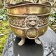 Large brass lion planter from the Napoleonic III era.