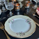 Mismatched lot 10 stamped plates