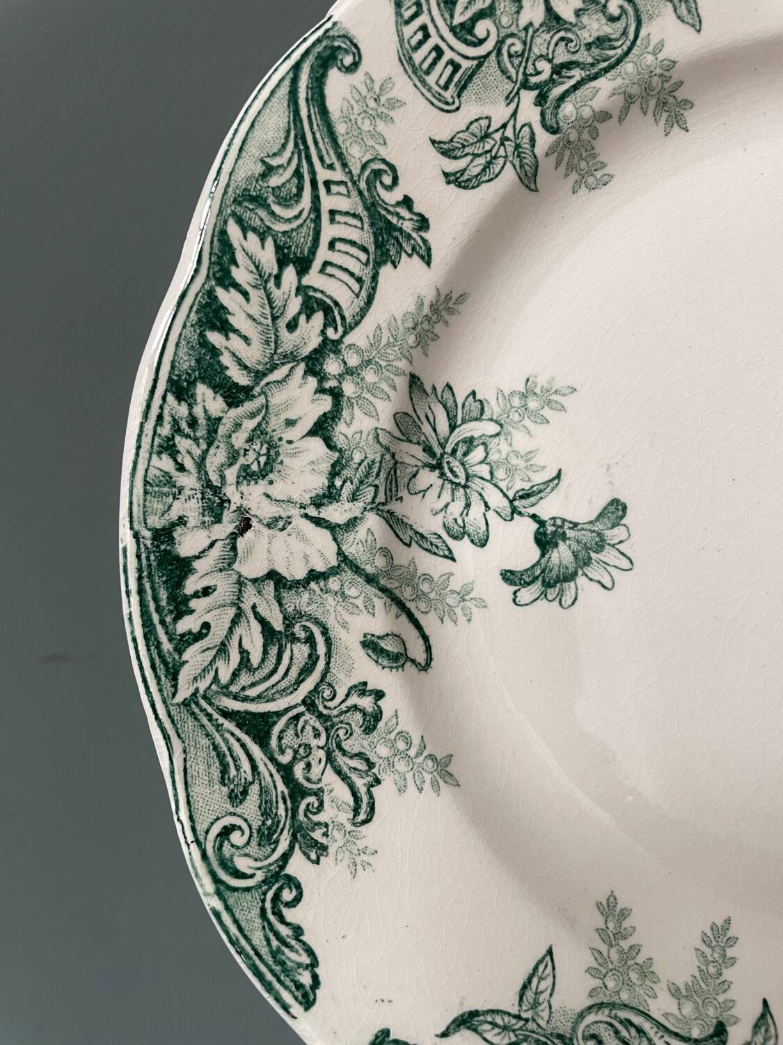 Series of 12 Terre de Fer flat plates in Onnaing earthenware, Sylvia model