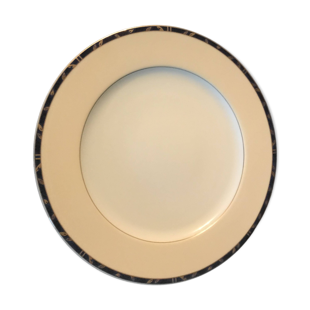Guy Degrenne Assiette Dîner Porcelaine Revêtement Titane