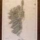 Carte nautique ile de corse corsica relevé  germain- hatt bouillet 1884_1891 carte maritime  ed 1952