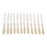 Set of 12 vintage knives and case