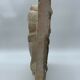 STONE SHELL 19TH PATINA OF ORIGIN SCULPTURE