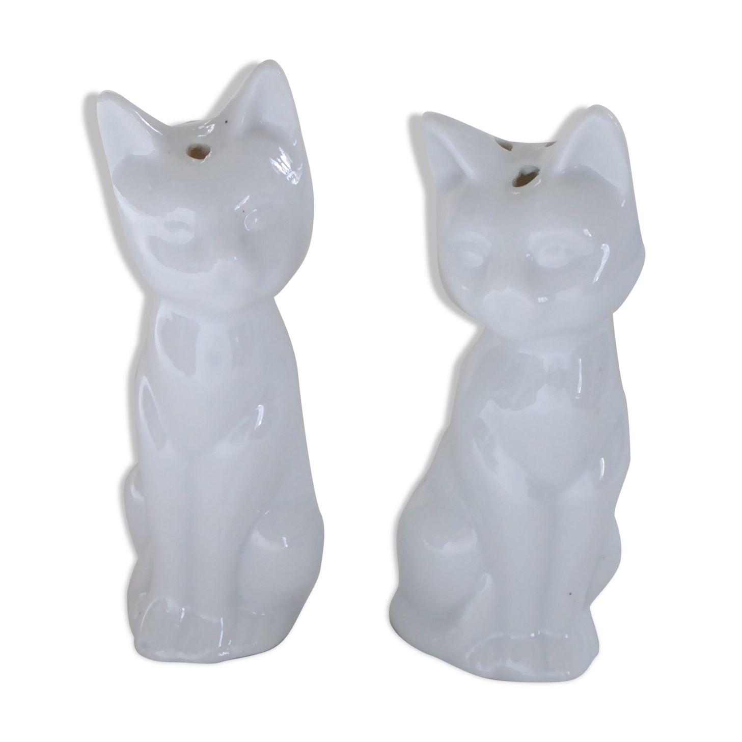 Salt and pepper shaker