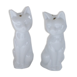 Salt and pepper shaker