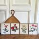 Pair of vintage botanical boards