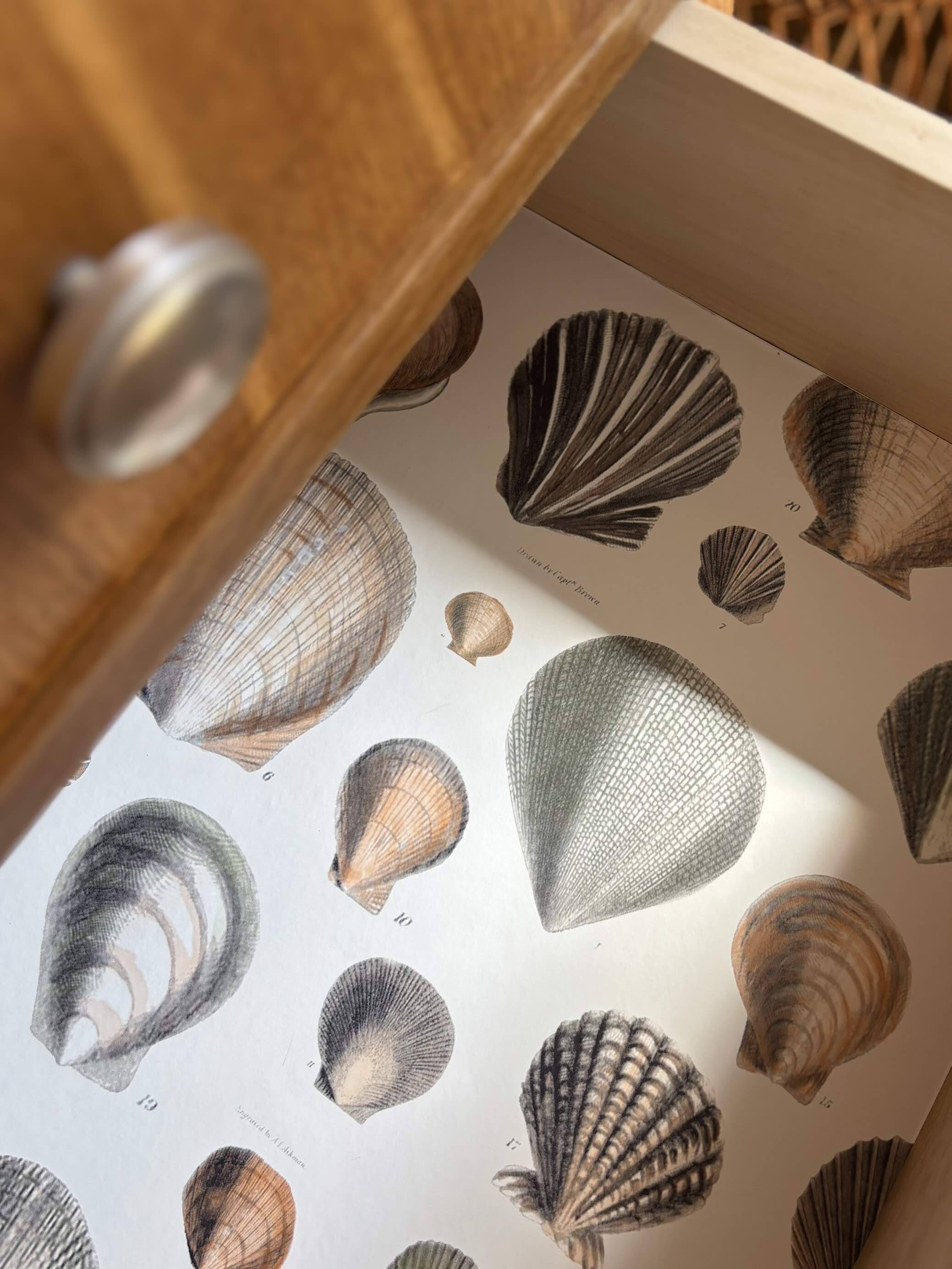 Vintage Scandinavian design commode from the 1950s.