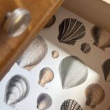 Vintage Scandinavian design commode from the 1950s.