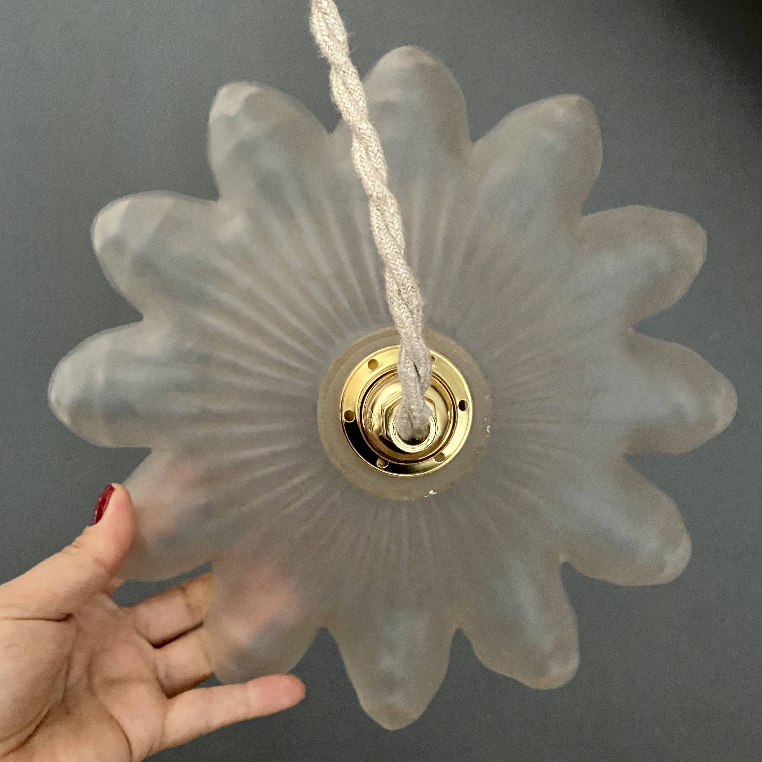 Vintage frosted glass lampshade pendant light