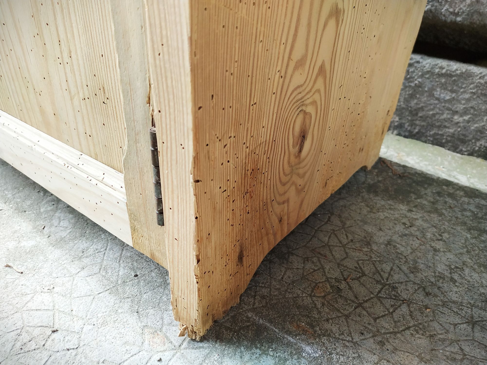 Small old tree closet