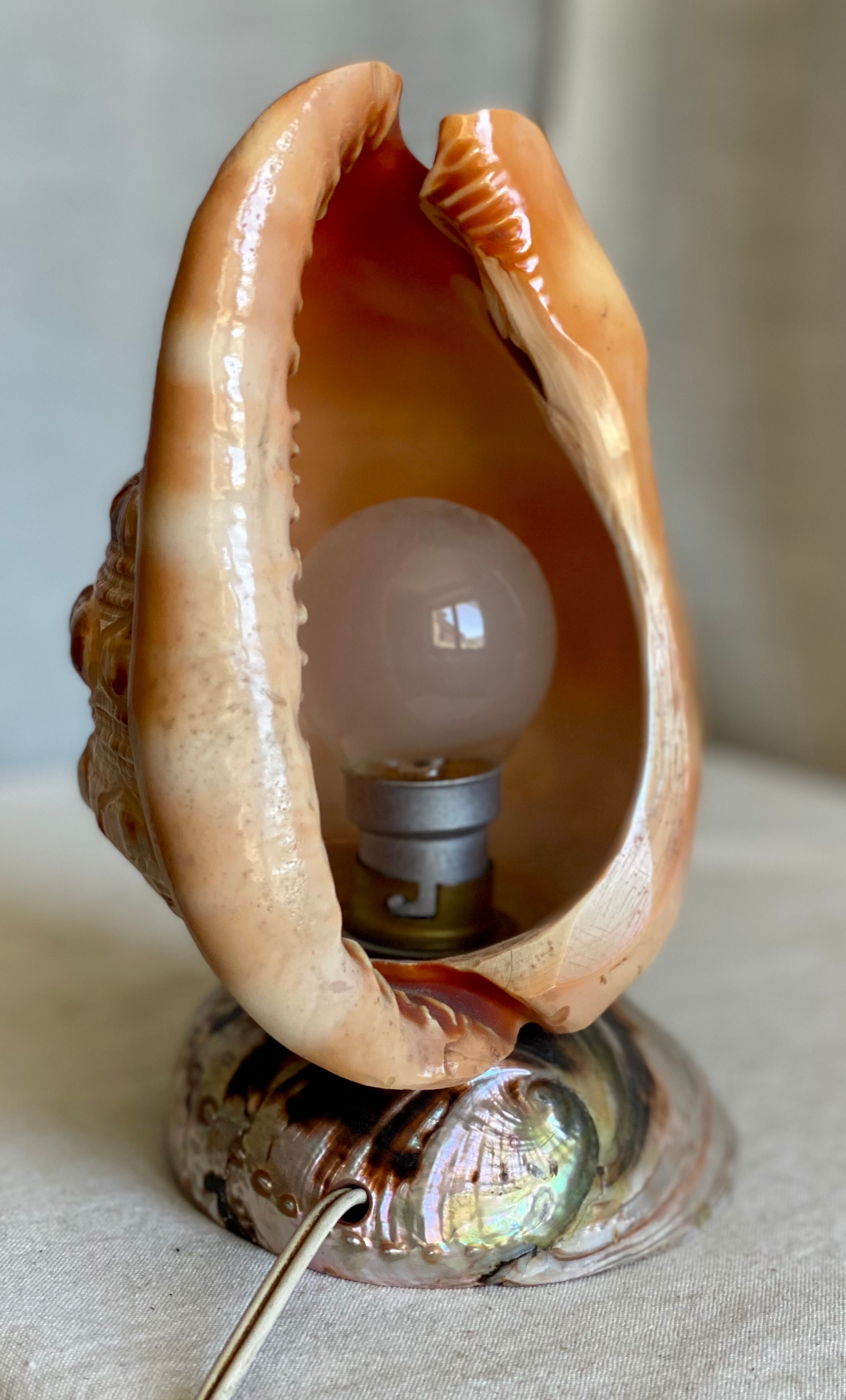 Vintage 1960s shell night light