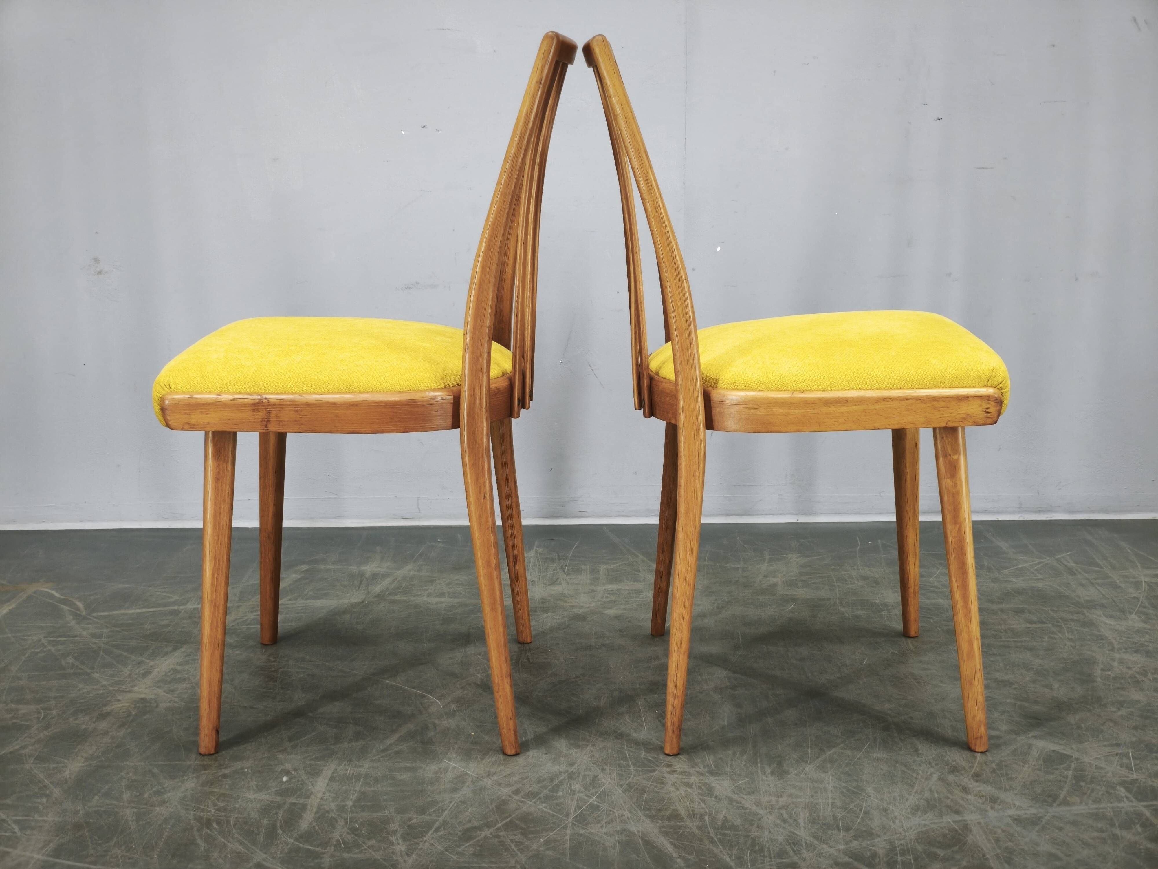 Set of 4 Mid-Century TON Beech Dining Chairs, Czechoslovakia, 1970s