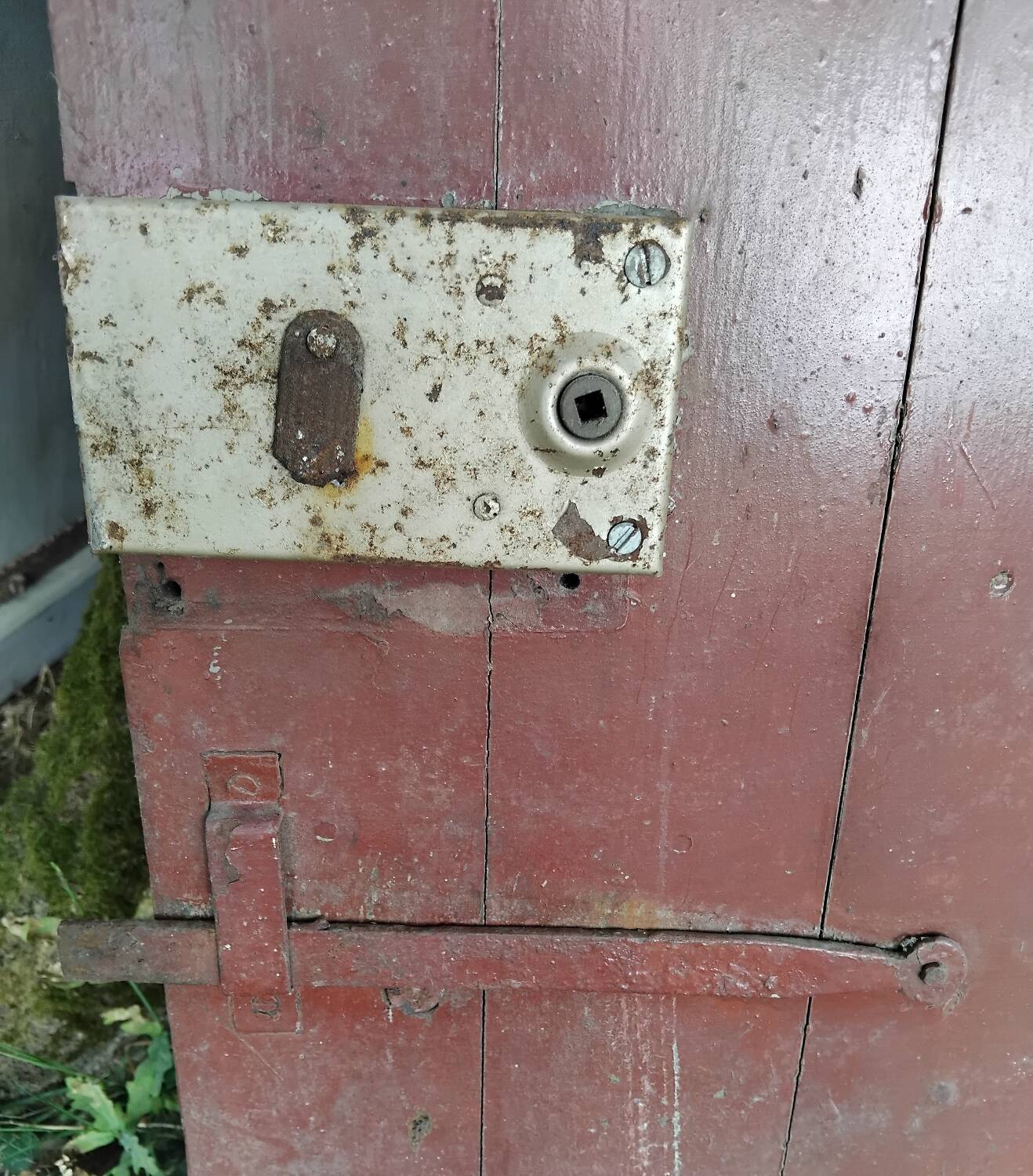 Old wooden door 110x97 cm Vintage