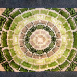 Carpet with psychedelic designs in wool Italy 70s 155x220cm