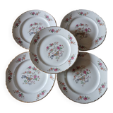 5 old Moulin des loups flat plates