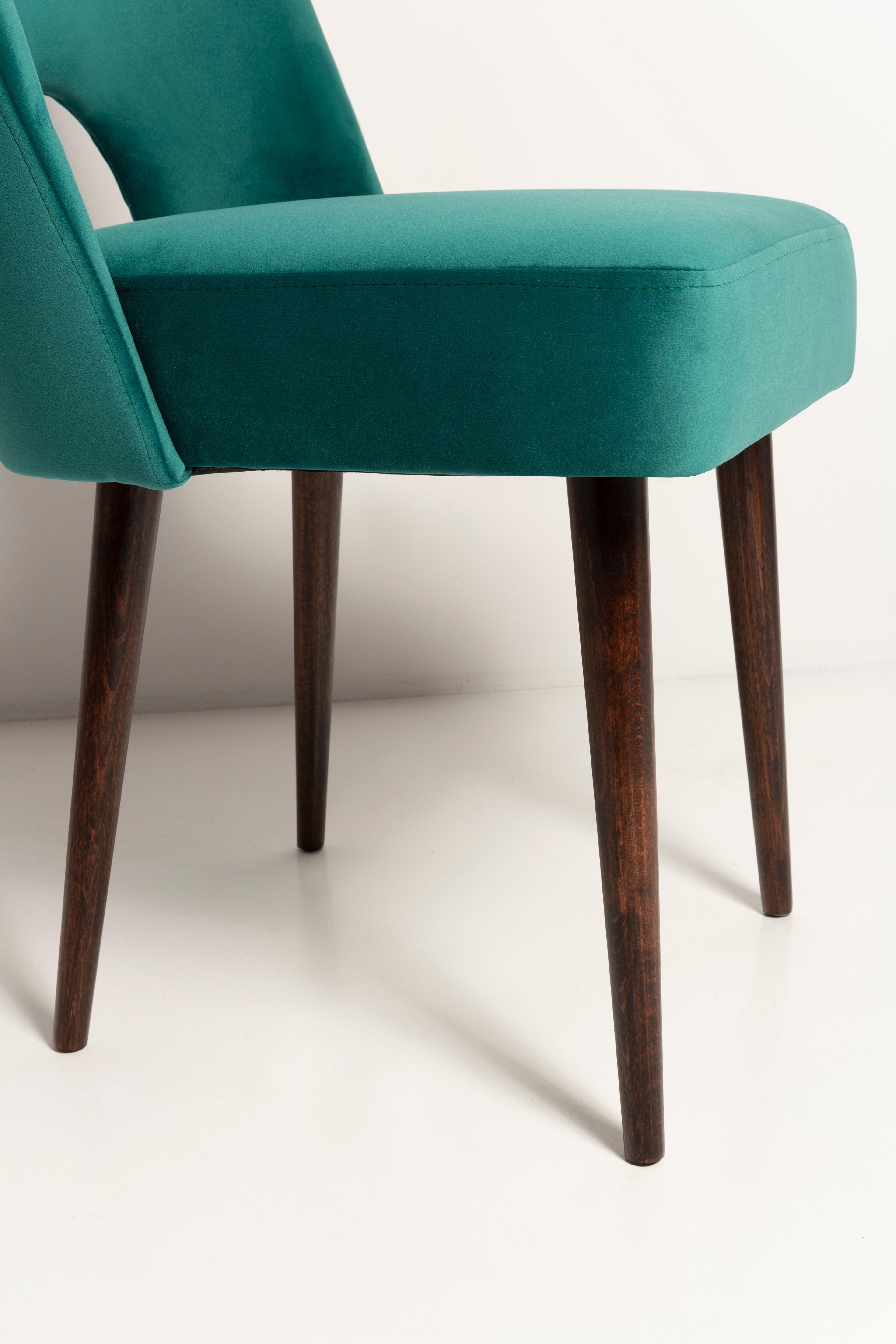 Chaise « shell » en velours crème et bois, Pologne, 1960s