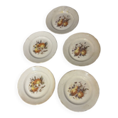 Set of 5 antique earthenware plates – vintage fruit & flower design