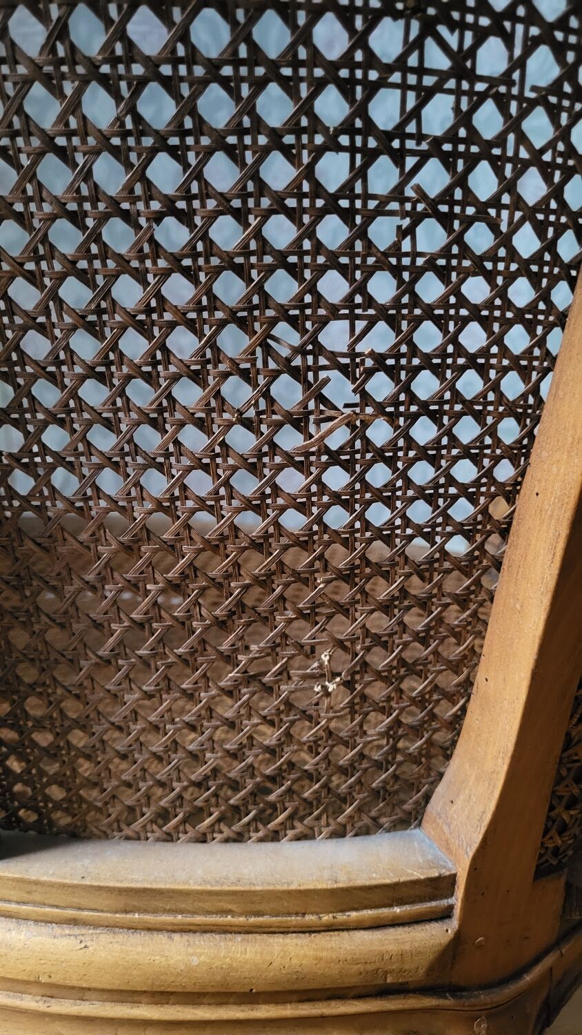 Pair of 19th-century armchairs