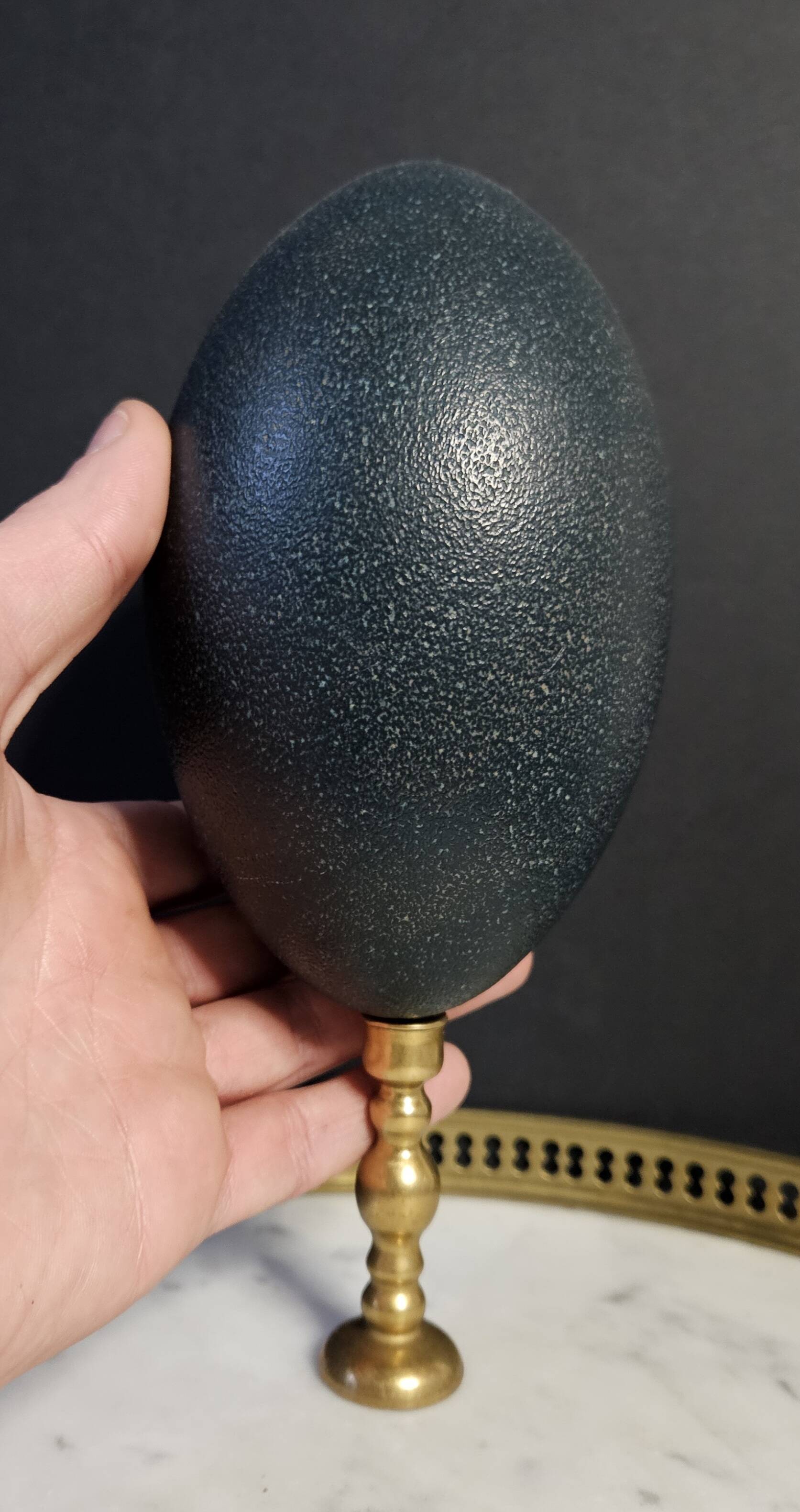 Emu Egg, Bronze Base (Early 20th century) H: 21 cm | Curiosity Collectible | PlaceOddity