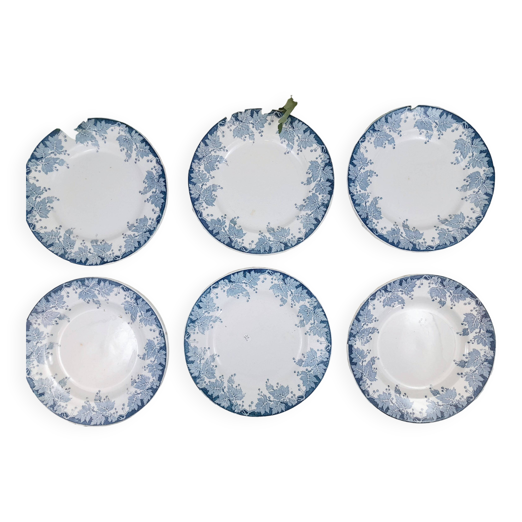 6 Assiettes plates Saint Amand Platane