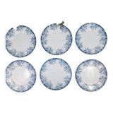 6 Saint Amand Platane flat plates