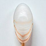 Tiger nautilus shell on a wooden stand, 19th century, Cabinet of curiosities