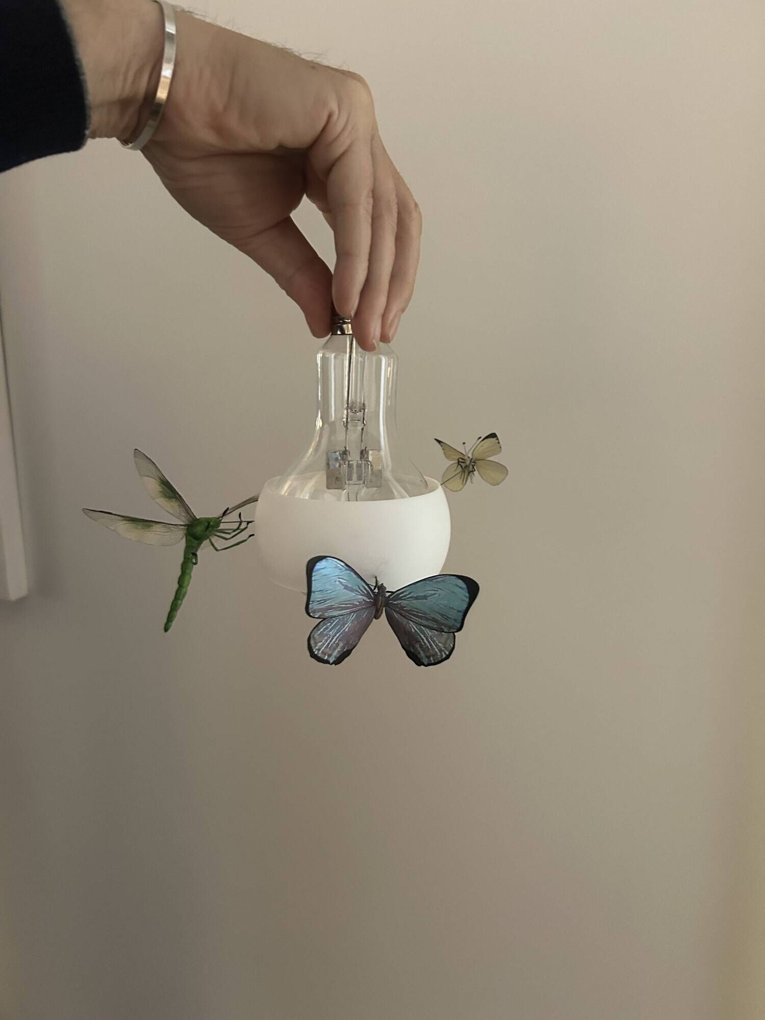 Set of 2 Johnny B. Butterfly pendants by Ingo Maurer