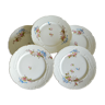 5 assiettes plates porcelaine Limoges décor main