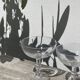 8 antique blown glass cocktail glasses