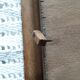 Old wooden top painted and pyroengraved after Boli