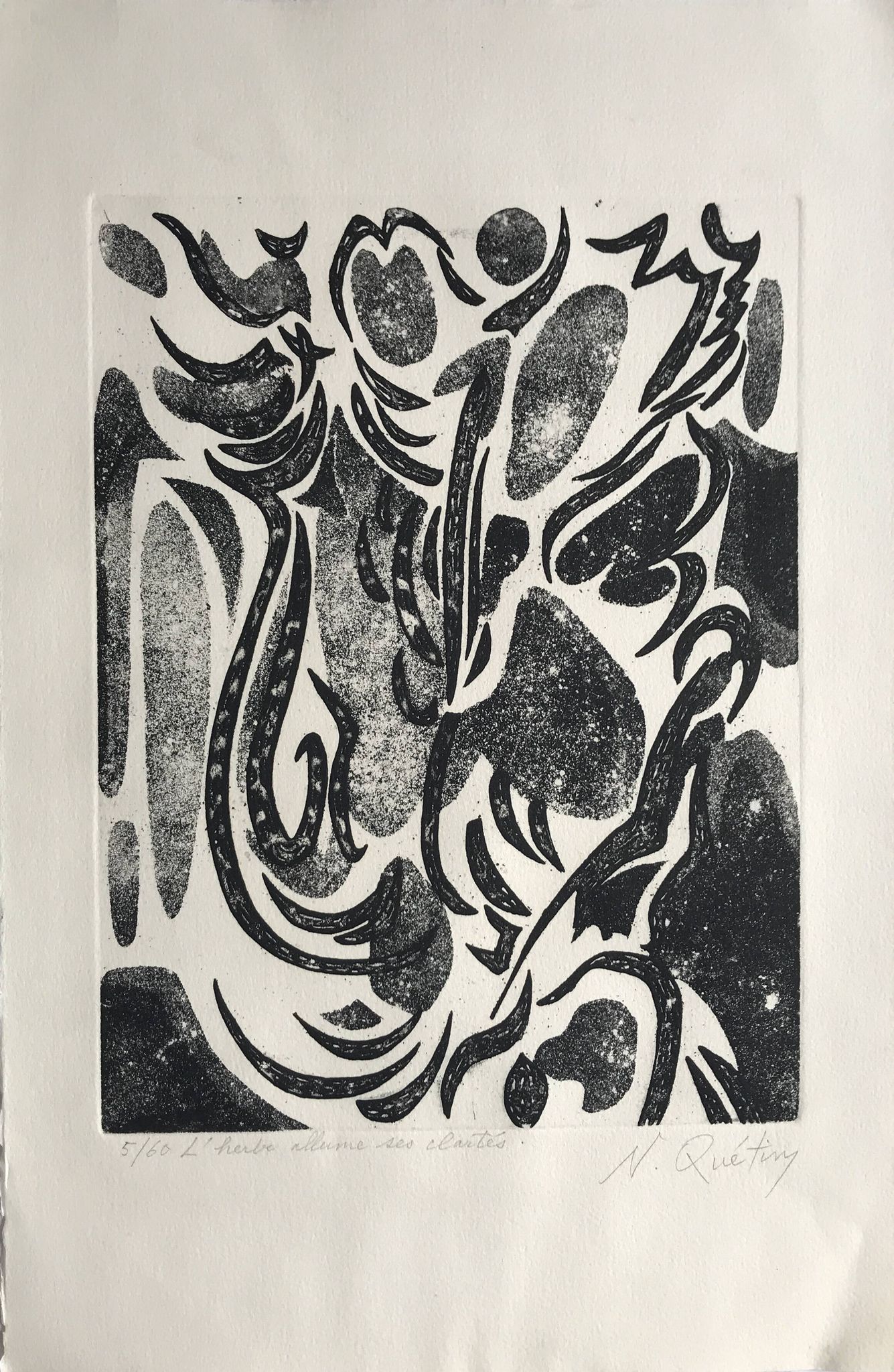 Nicole quétin, the grass lights up its lights, c. 1990. etching signed in pencil