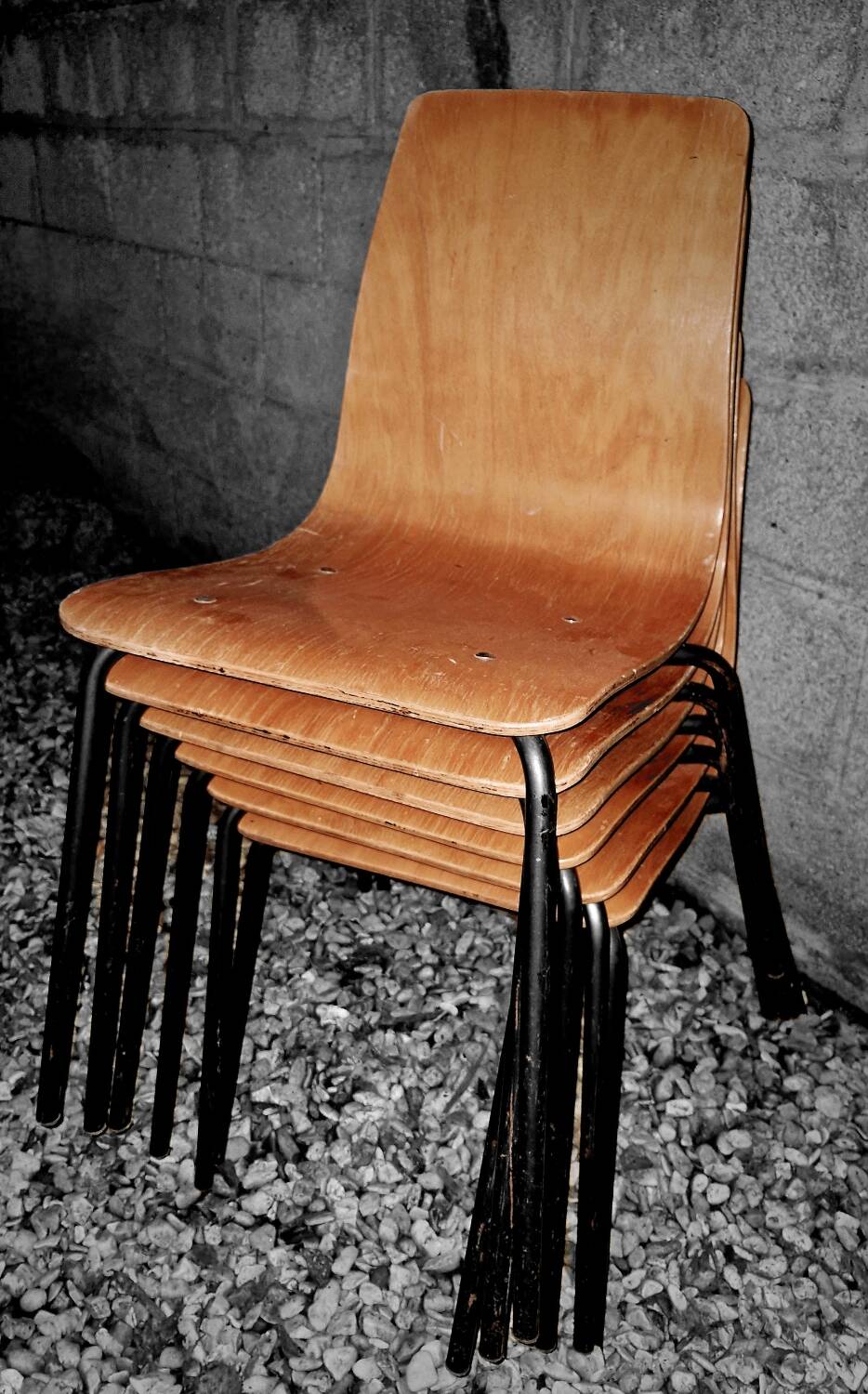 Suite de 6 Chaises Pierre Guariche modèle Papyrus Édition Steiner 1950