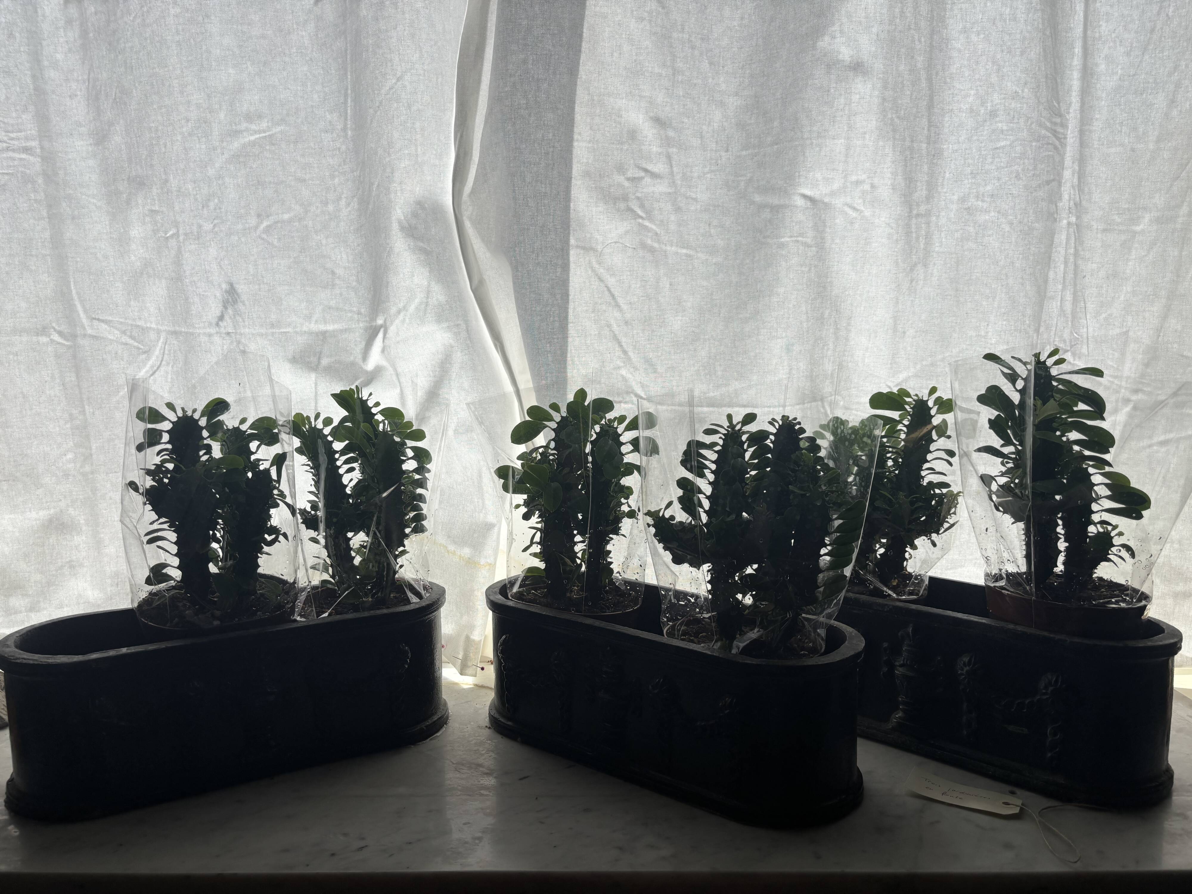 Ensemble de trois jardinières en fonte
