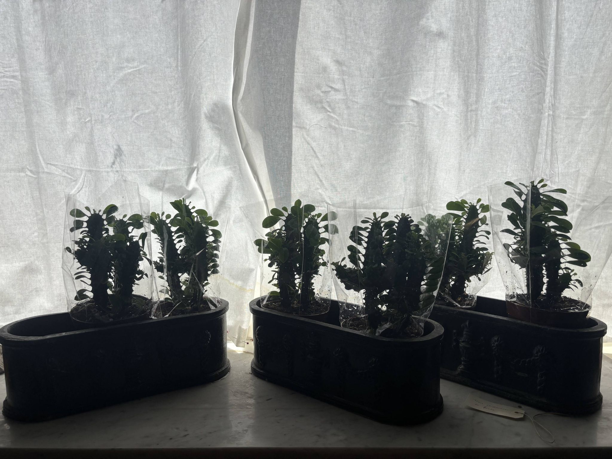 Ensemble de trois jardinières en fonte